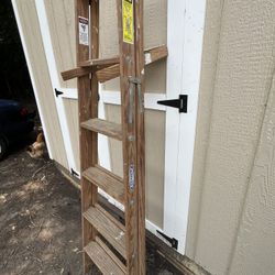 Werner Ladder 