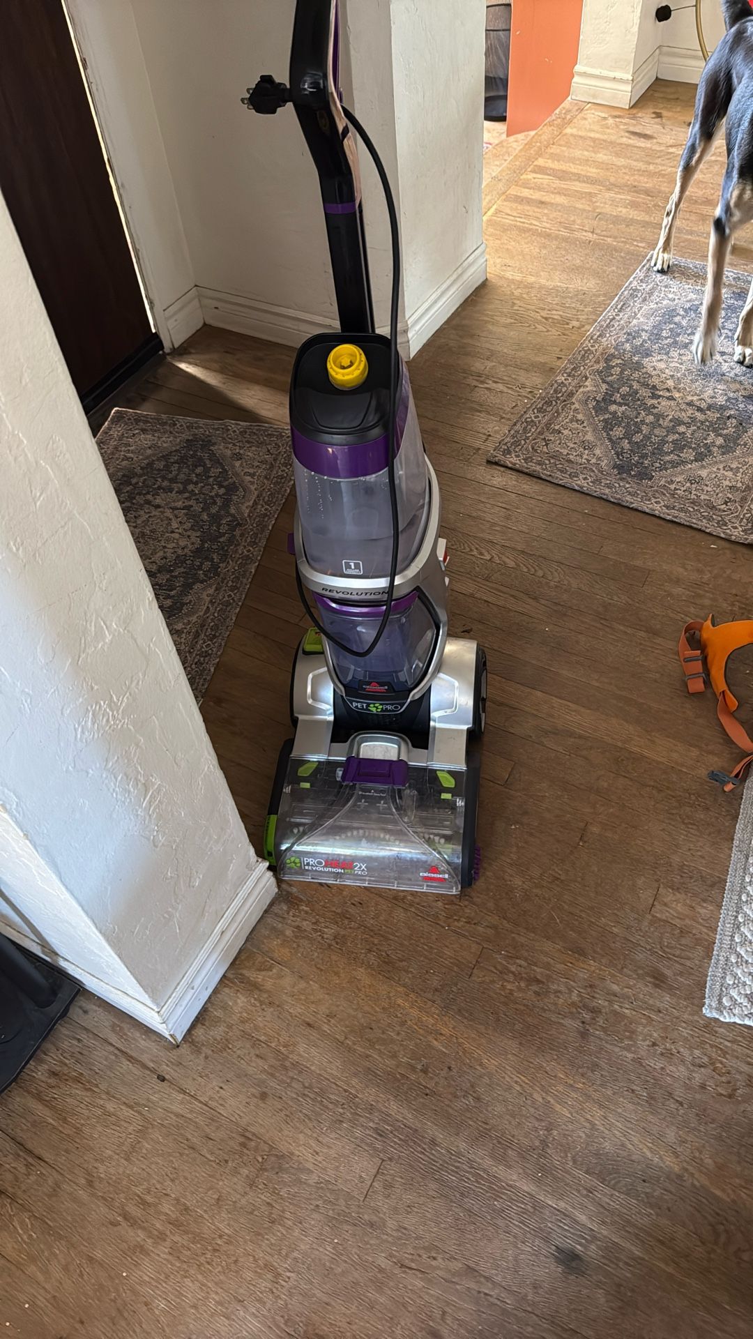 Bissell Pet Pro Carpet Cleaner