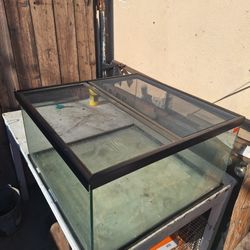 Reptile Tank