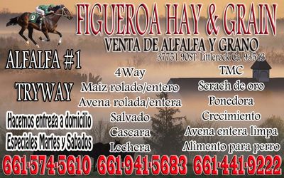 Venta de alfalfa y grano