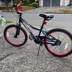 Schwinn Falcon Kids Bike 