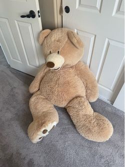 Bear 5ft tall