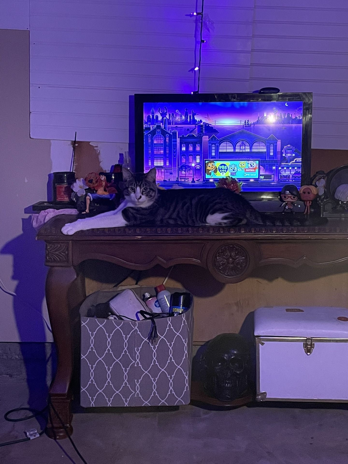 Tv
