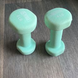 4 Lb Dumbbell Set 