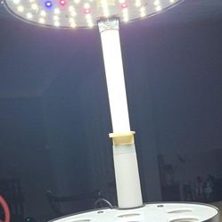 AeroGarden Indoor Garden