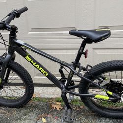 Kids Haro Fat Tire 7-speed Bike