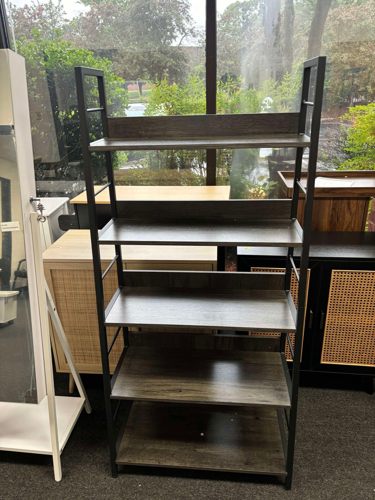Industrial Bookshelves and Bookcases, Ladder Shelf 5 Tier with Metal Frame for Living Room,
