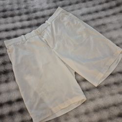 Nike Golf Shorts, Size 38