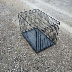 Med Dog crate