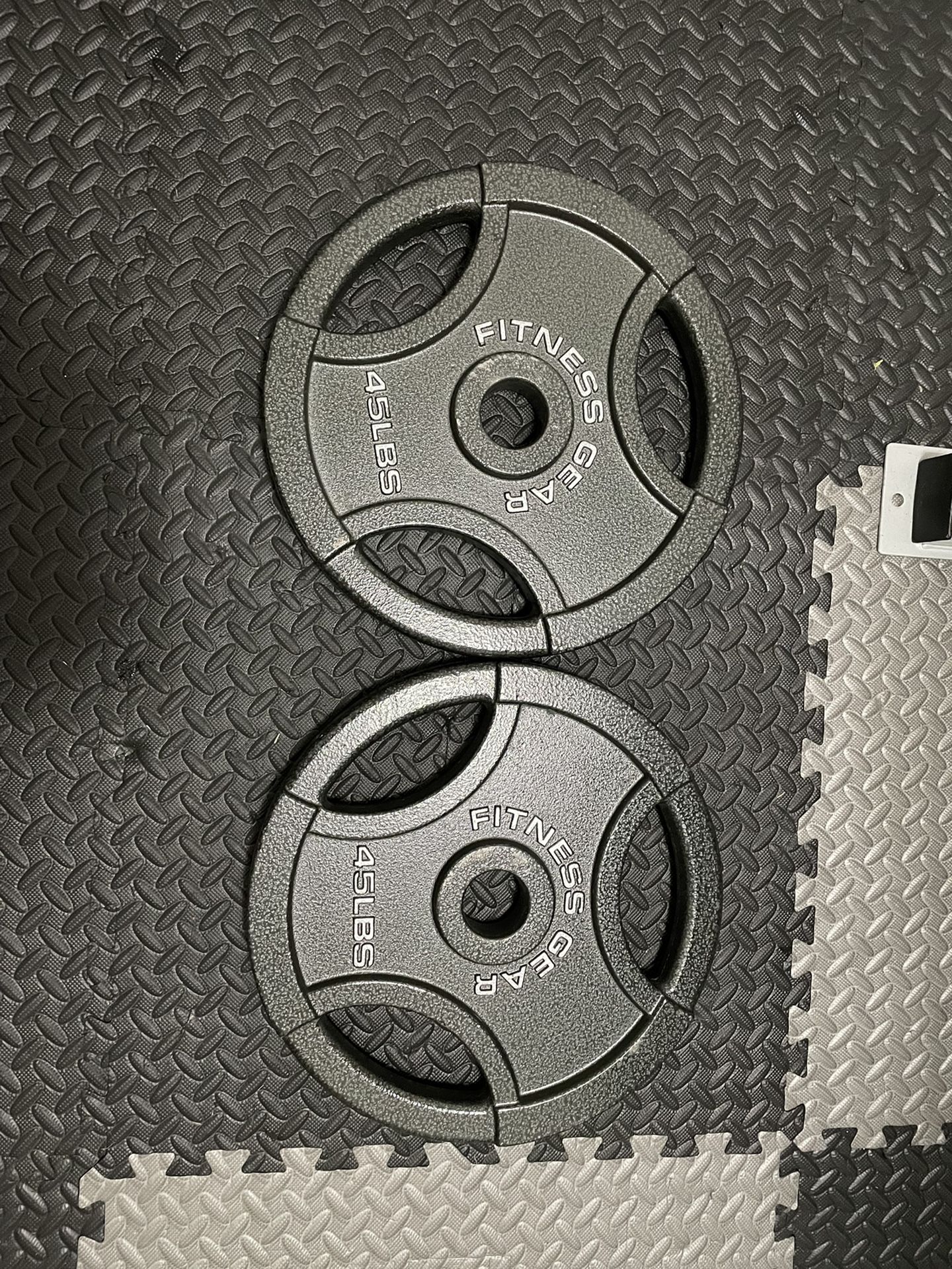 A Pair of 45lb Plates 