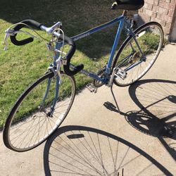 Schwinn Sprint