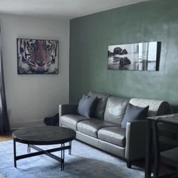 Modern Gray Leather Sofa 