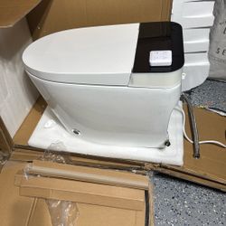 Smart Tankless Toilet
