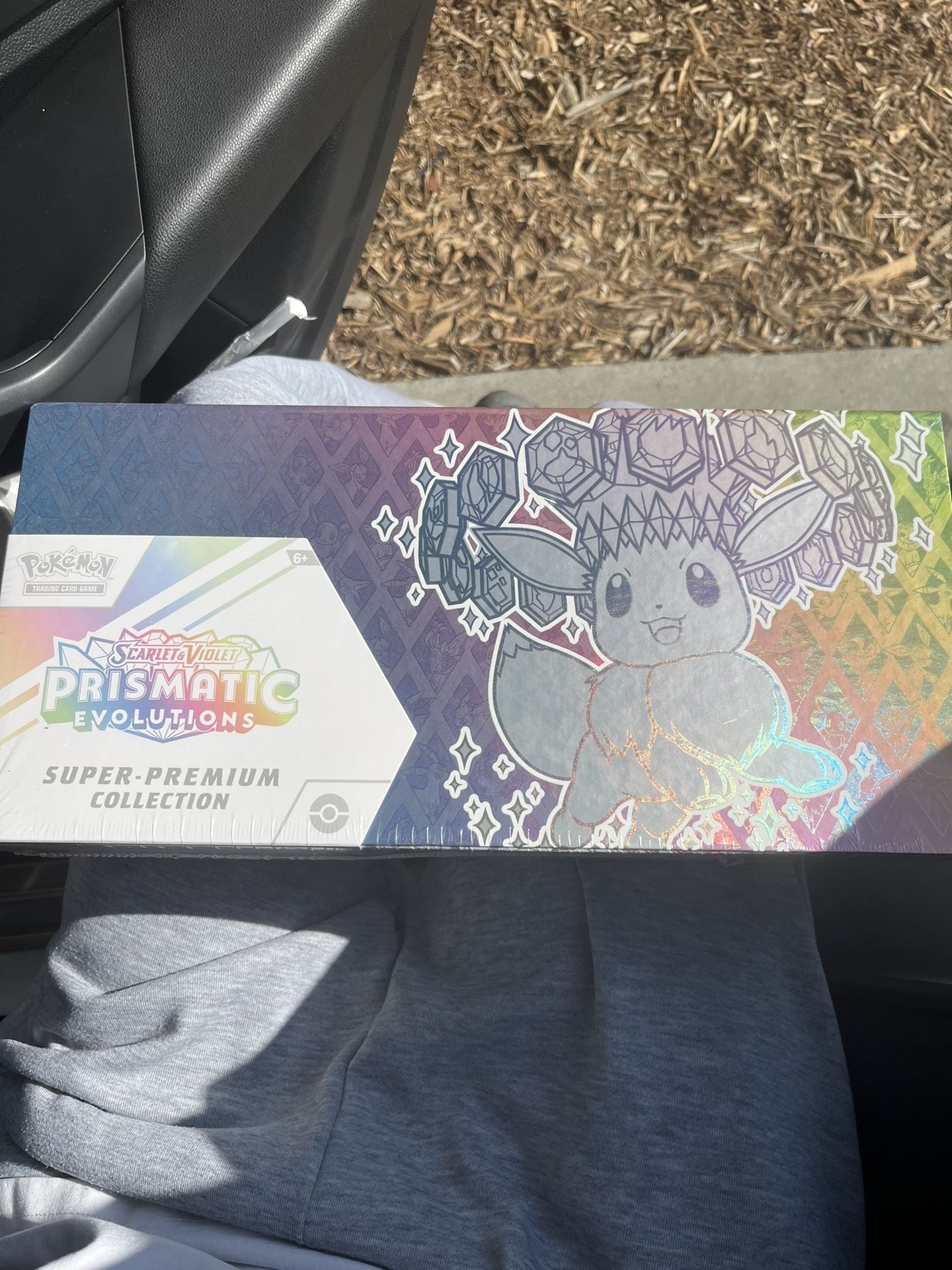 Prismatic Evolutions Special Premium Collection