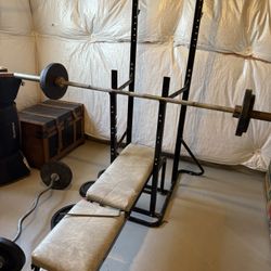 Work Out bench