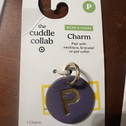 “P” Letter Charm for Pet Collar