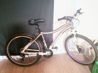 Whirlwind Bike