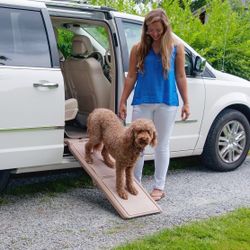Pet Ramp