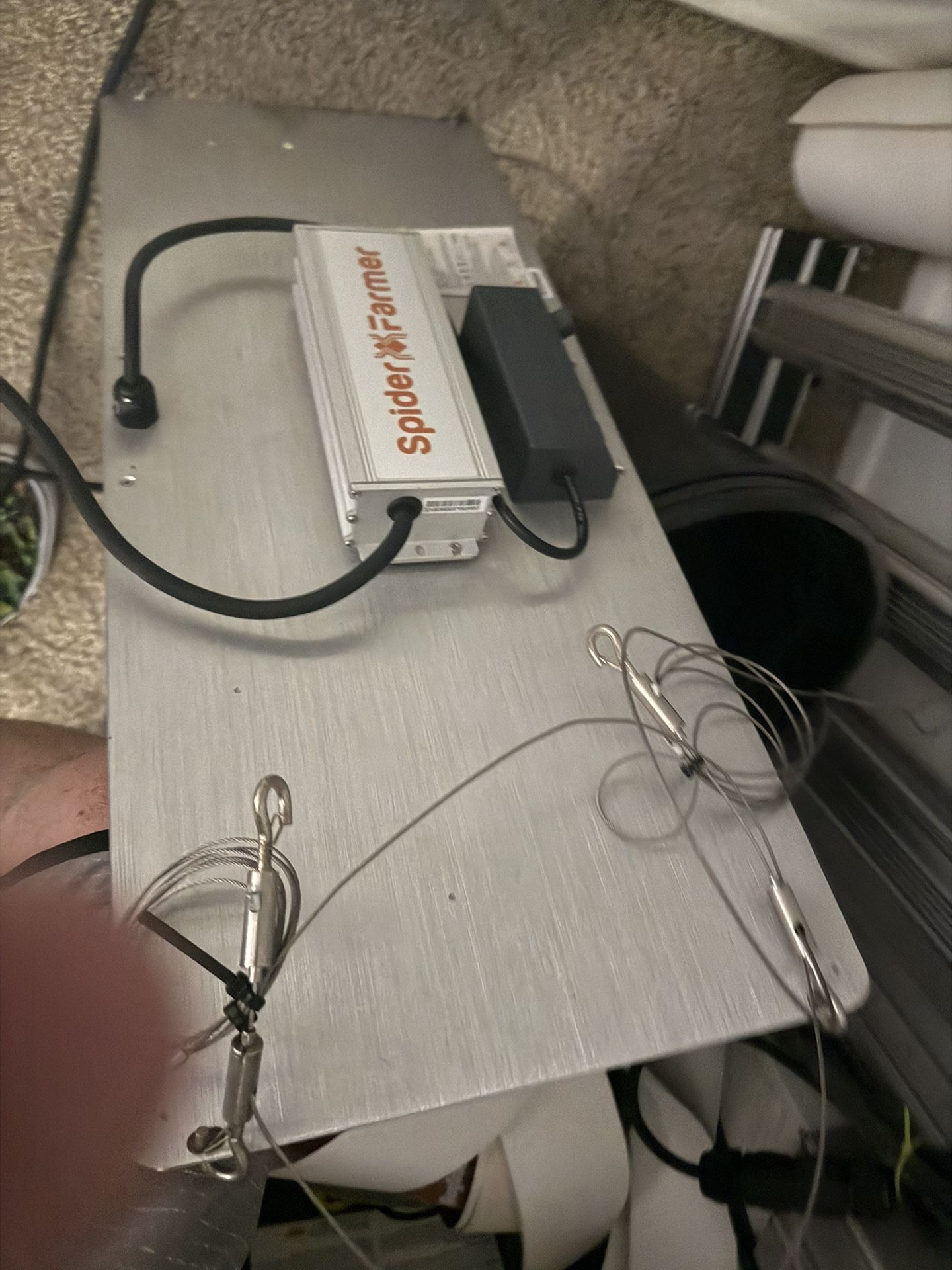 Spider Farm Tent And Light