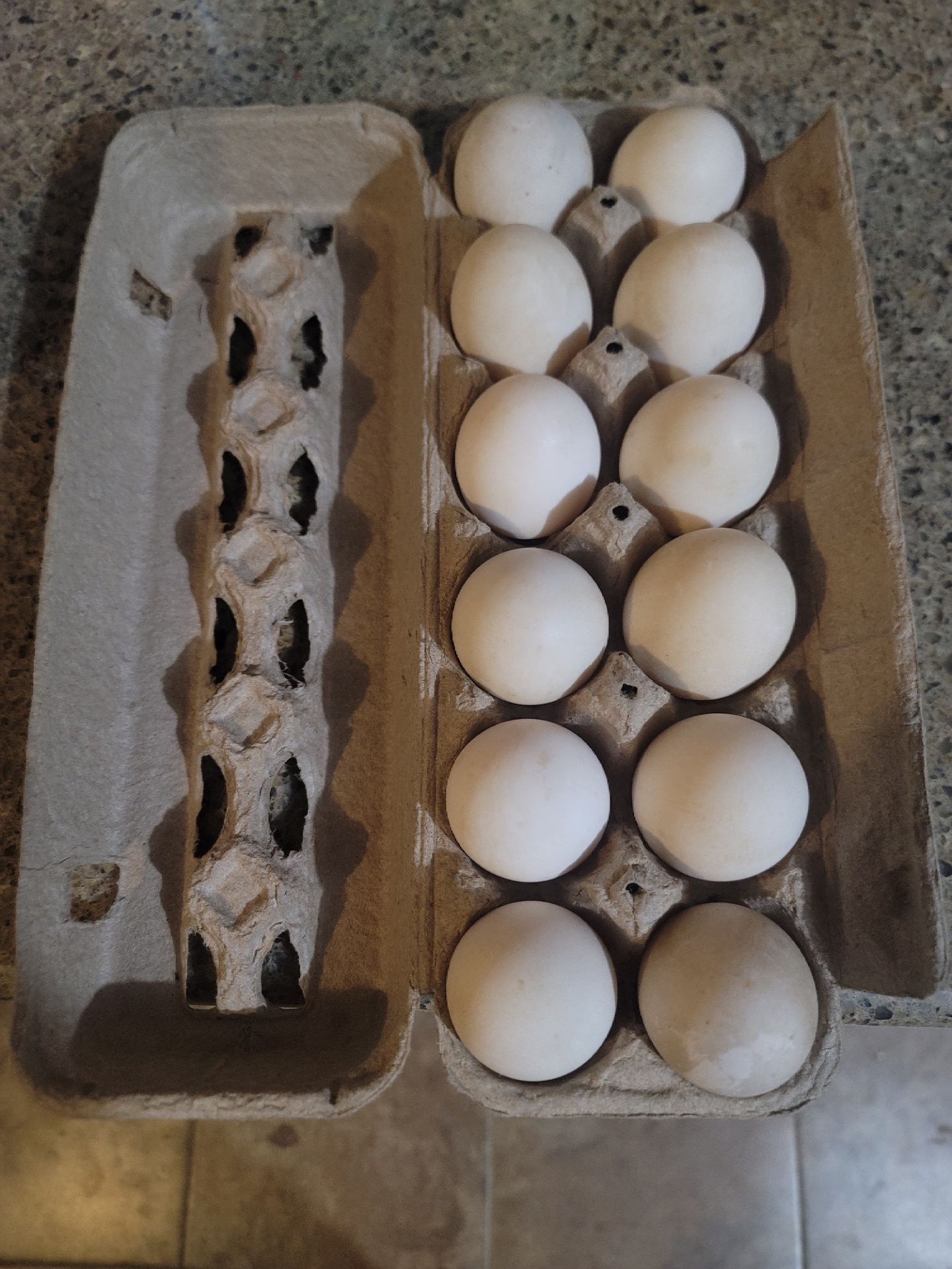 Duck eggs