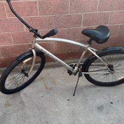 Beach Cruiser