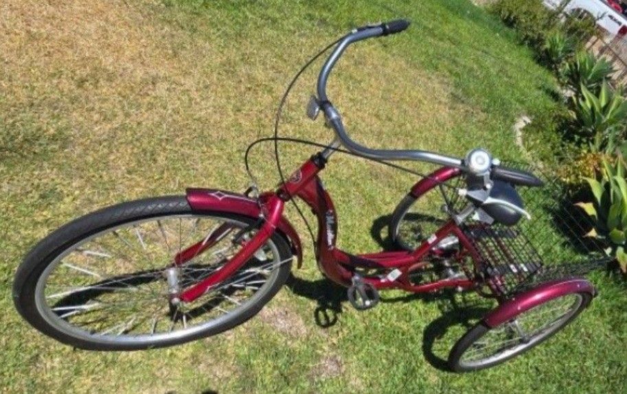 Adult Tricycle