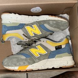 1y