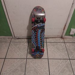 Skateboard