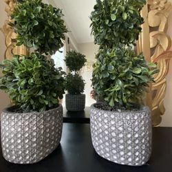 Very  Beautiful 2 decoration with the plant