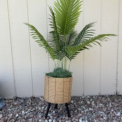 Fake plant with stand 