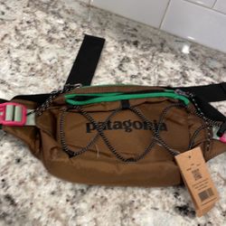 Patagonia Fanny Pack