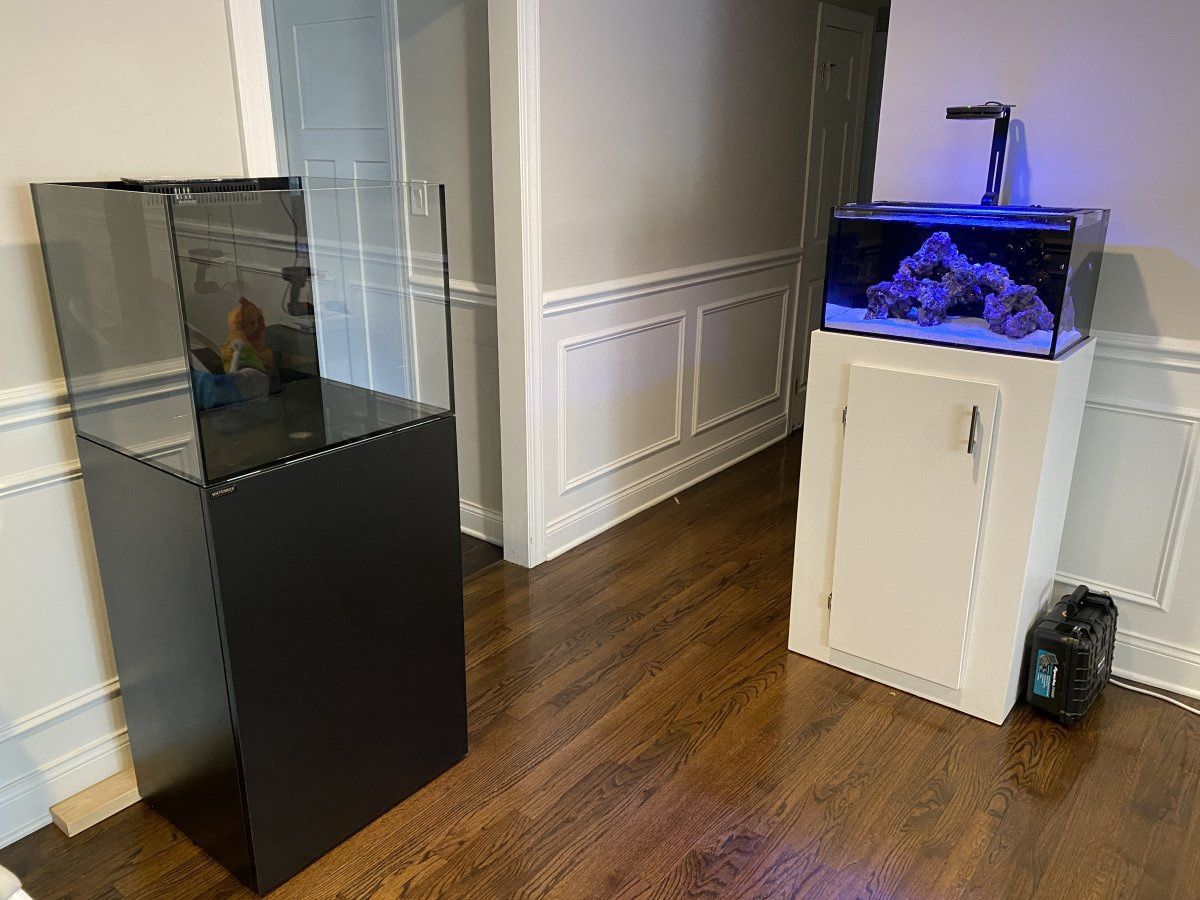 Rimless Fish Tank MARINE X 60.2 Waterbox Aquarium Reef Ready RR