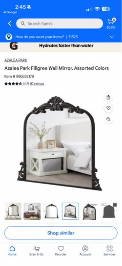 Azalea Park Filigree Wall Mirror Black