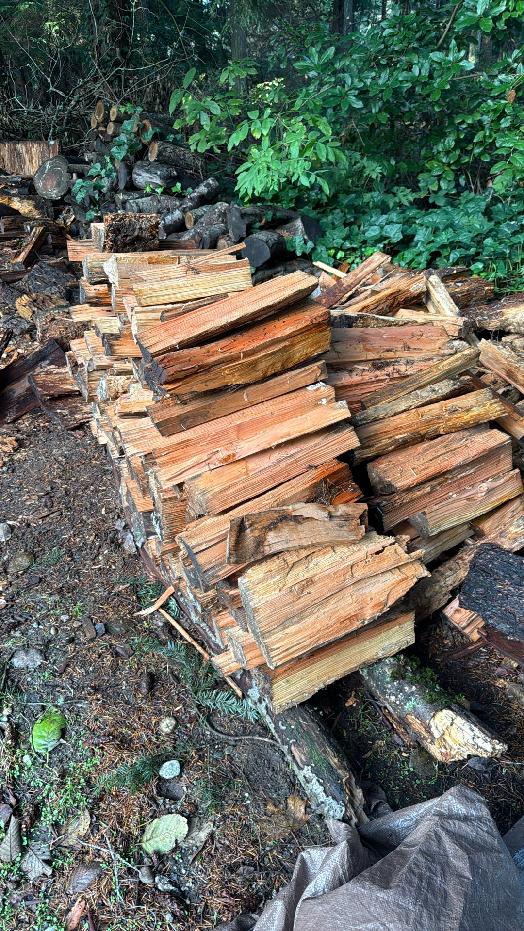 firewood