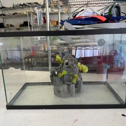 20 Gallon Aquarium