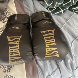Everlast Boxing Gloves