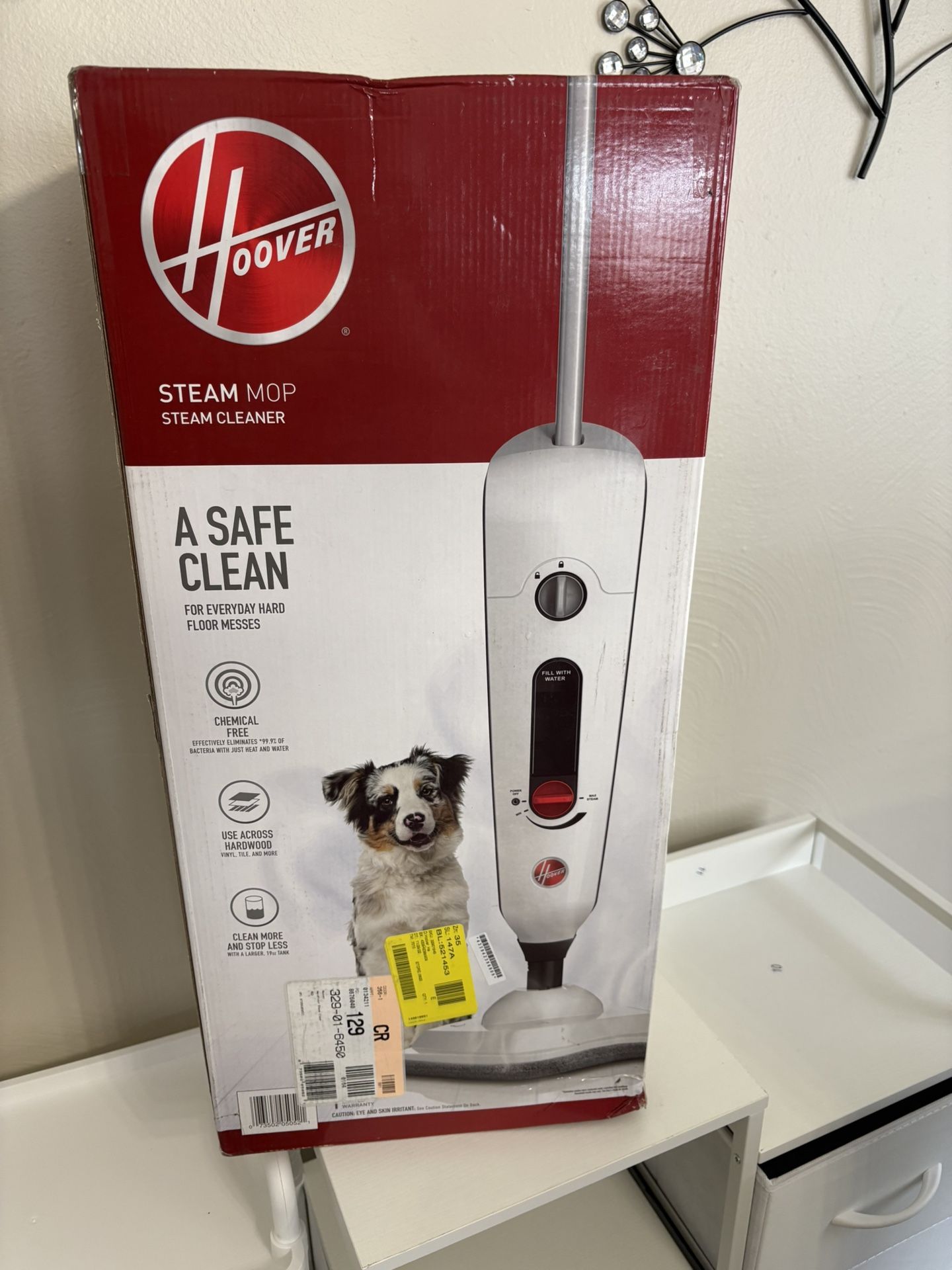 Steam mop
