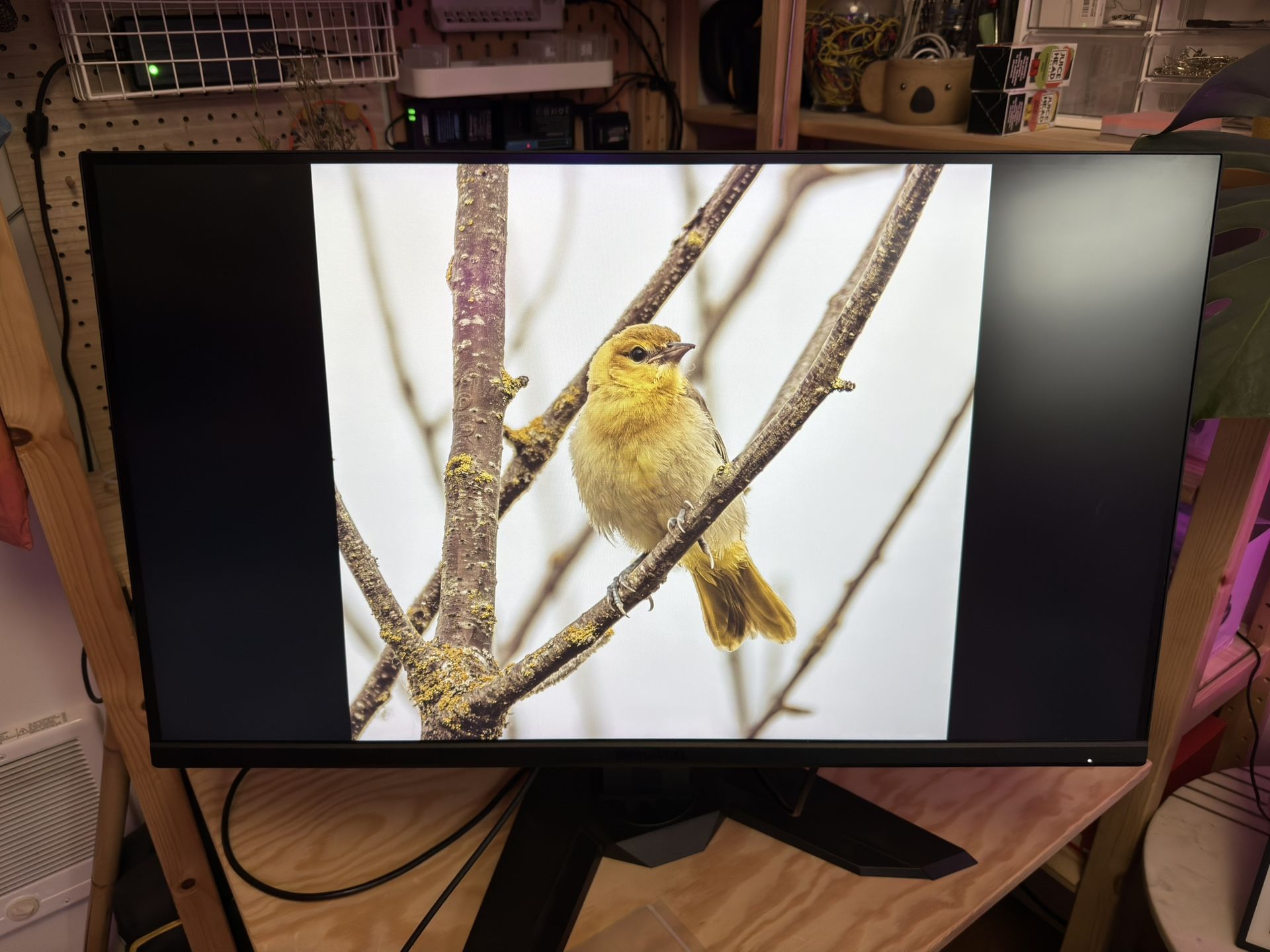 Gigabyte M32U (32” 4K 144hz Gaming Monitor W/KVM)