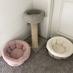 Cat Tower And Bed 