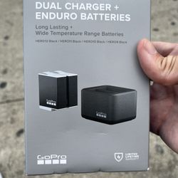 Go Pro Dual Charger Enduro Batteries 