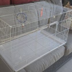 **Bird Cage 🦜🐦 **