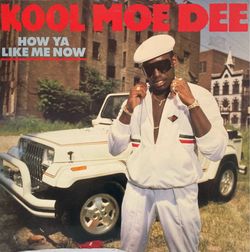 hip hop vinyl records Old school $10 each