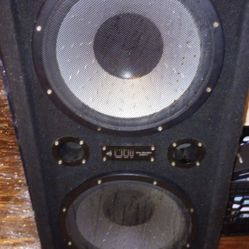 Mach 3 15" Speakers