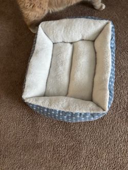 Pet bed