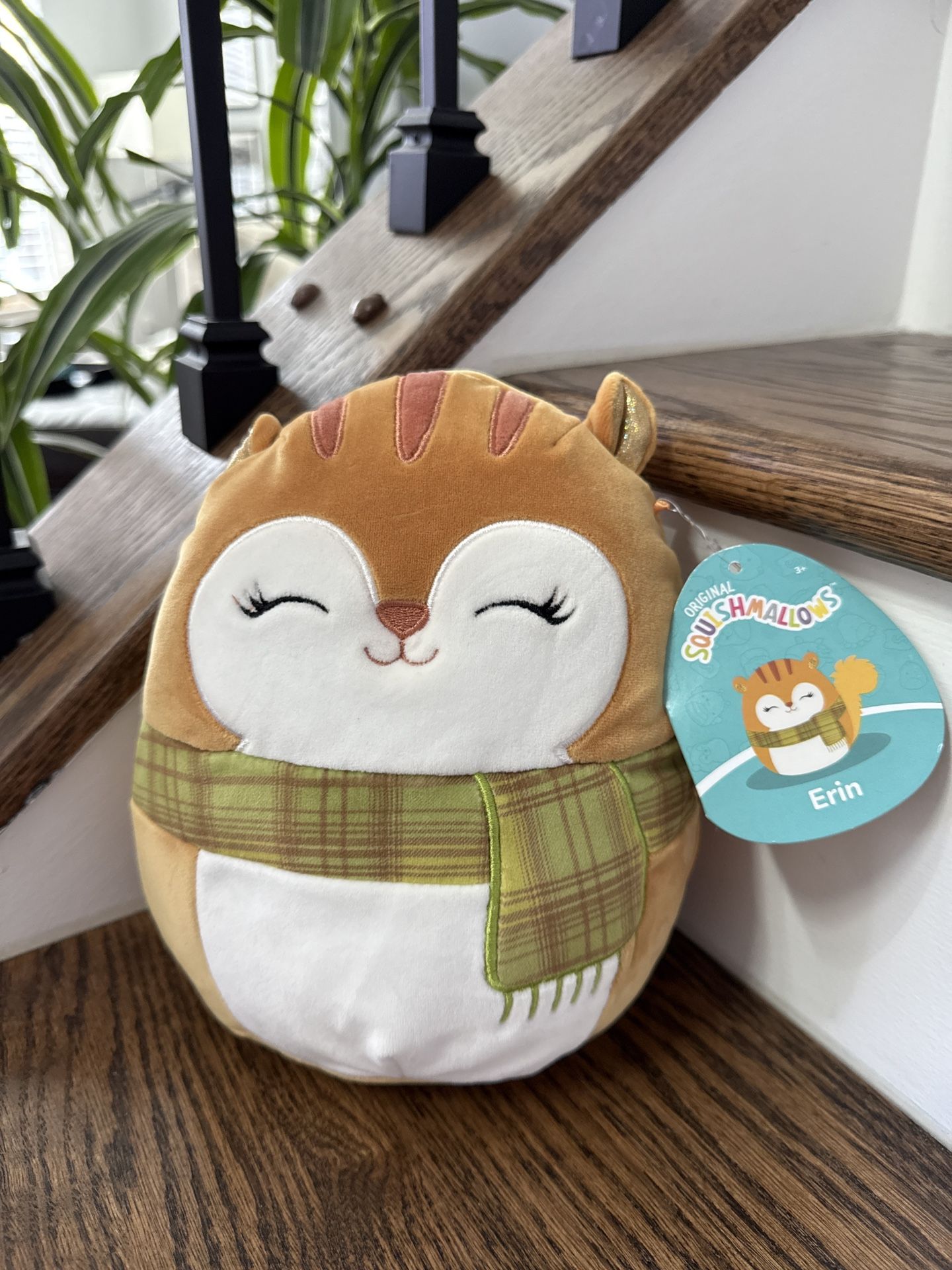 Squishmallow Erin the Squirrel Plush - 8”H