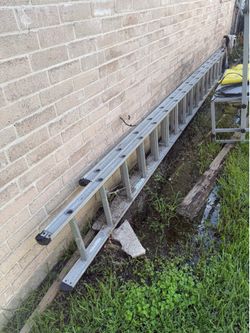 Ladder 24 ft