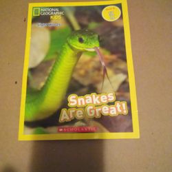 Booklet About Snakes 