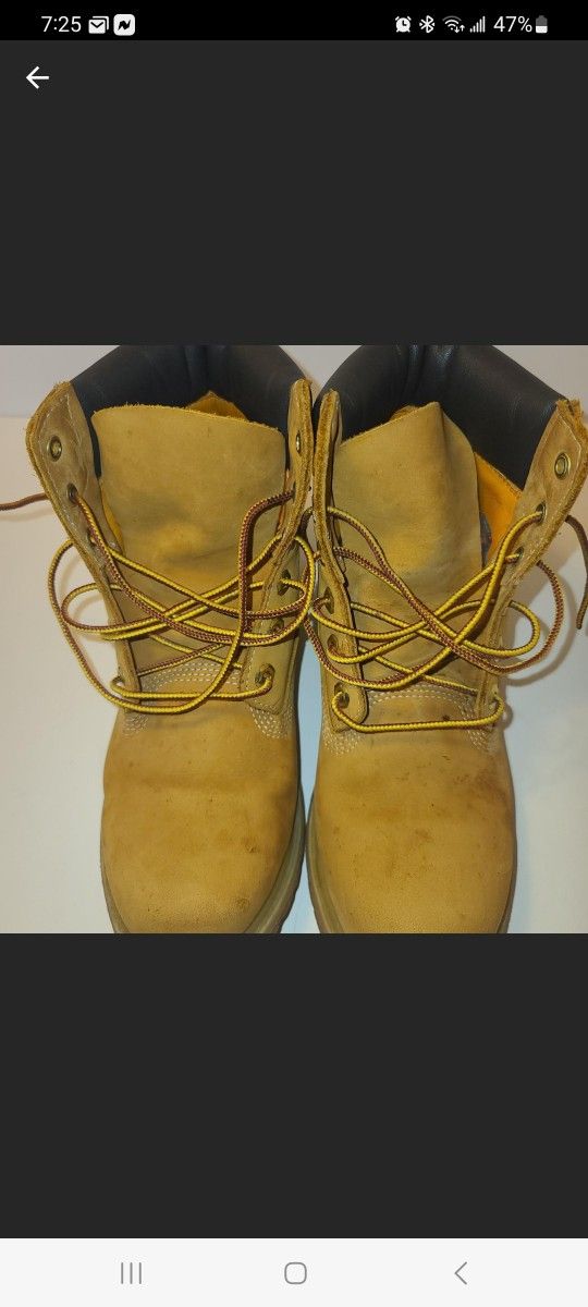 Timberland woman 6-Inch Waterproof Boot Sz 9M Pls Look At The Picture (S-G1)