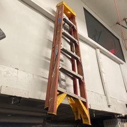 Werner Fiberglass Ladder 6'