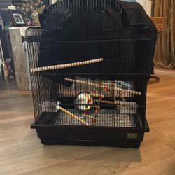 Bird Cage 